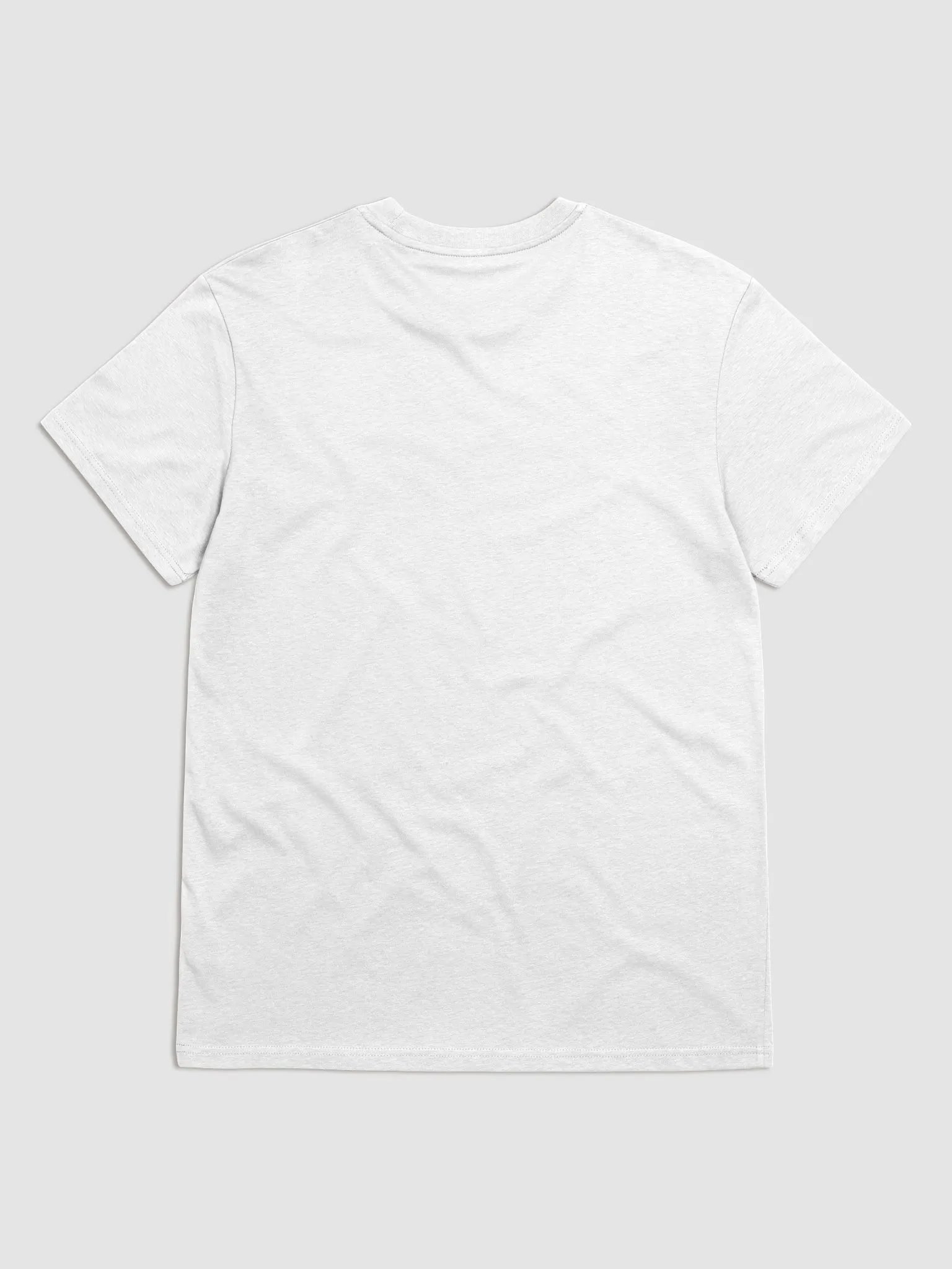 I Had A Copy & Paste Education - Black - Stanley/Stella Organic Cotton T-Shirt product image (2)