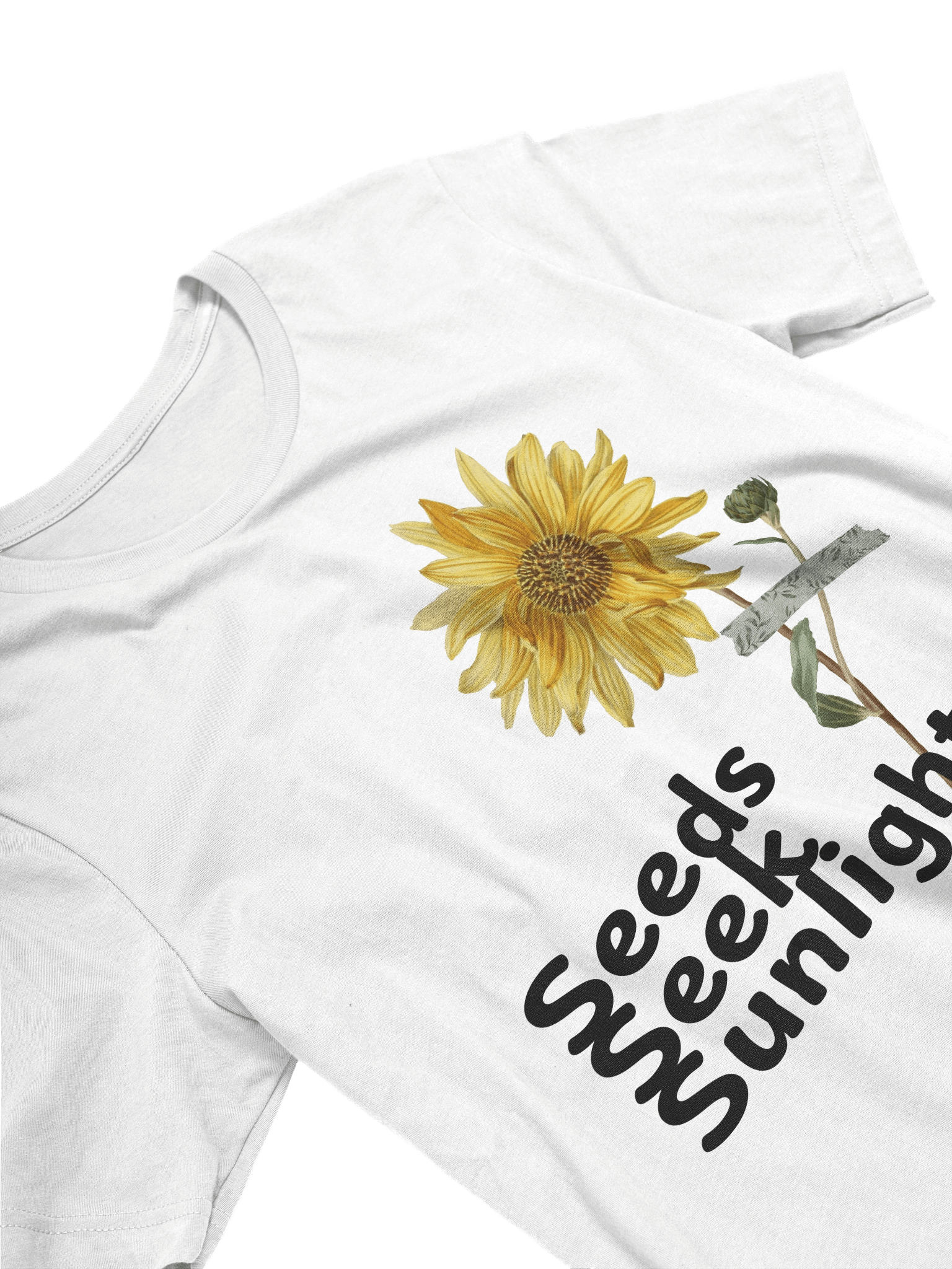 Seeds Seek Sunlight product image (3)