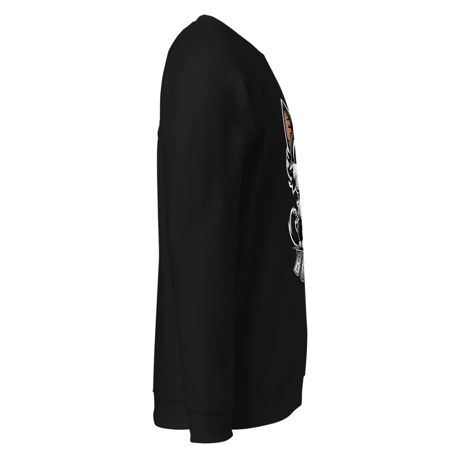 Buddy SOL'S Unisex Organic Raglan Sweatshirt product image (6)