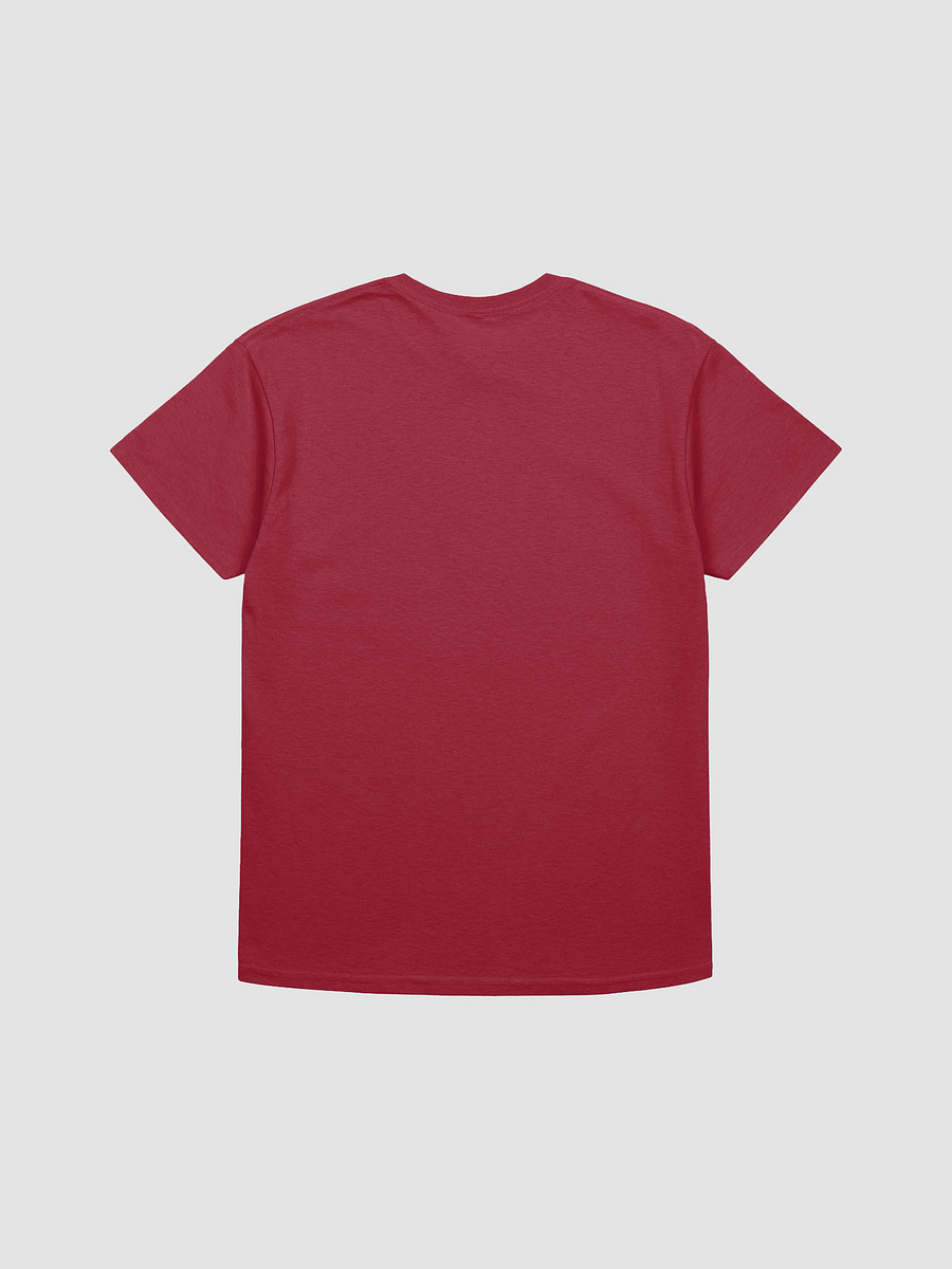 EXTRAORDINAIRE IMMIGRANT TSHIRT MAROON product image (2)