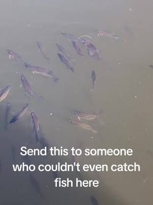I can't send this to myself #fishing 