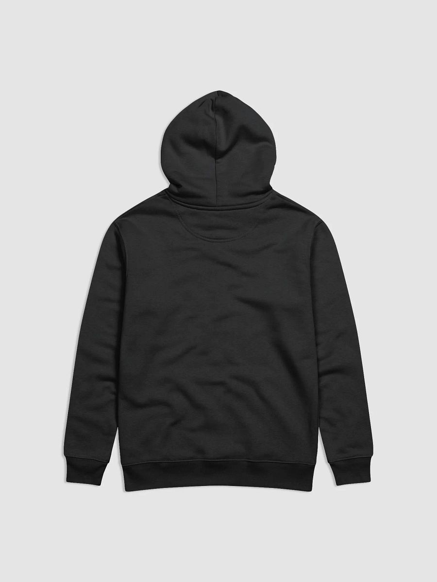 VolcanoDiscovery Eco Hoodie No 1 product image (2)