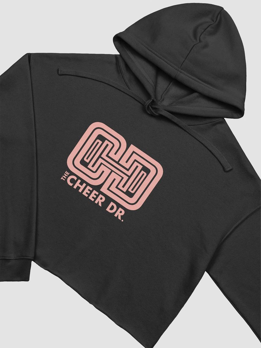 The Cheer Doctor Crop Hoodie product image (3)