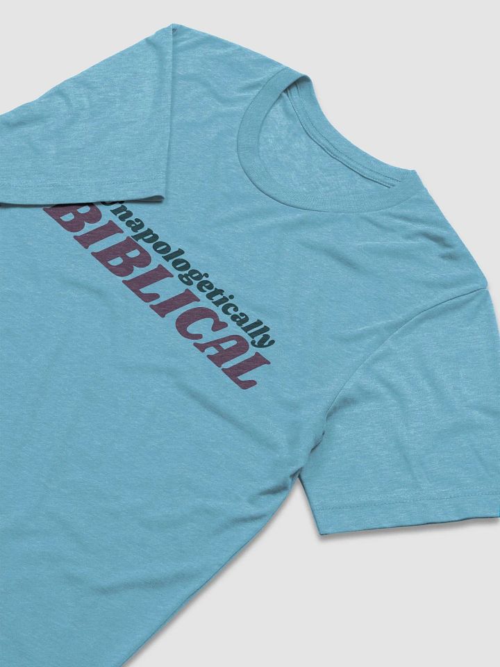 Men's T-Shirt: Unapologetically Biblical (more colors available) product image (2)