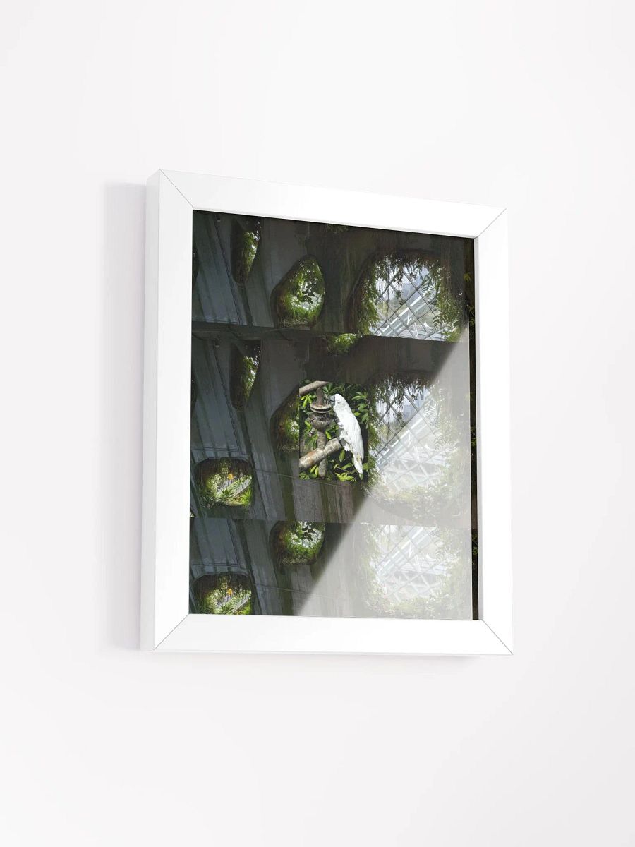Avian Oasis Framed Matte Poster product image (4)