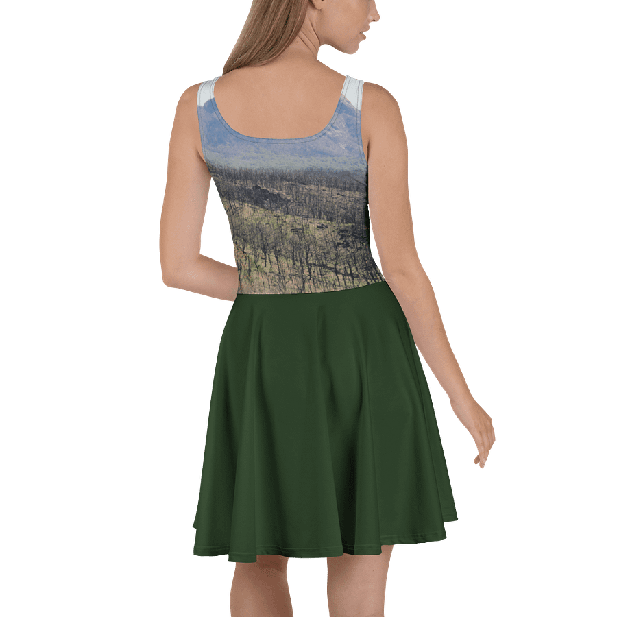 Loss Dress product image (4)