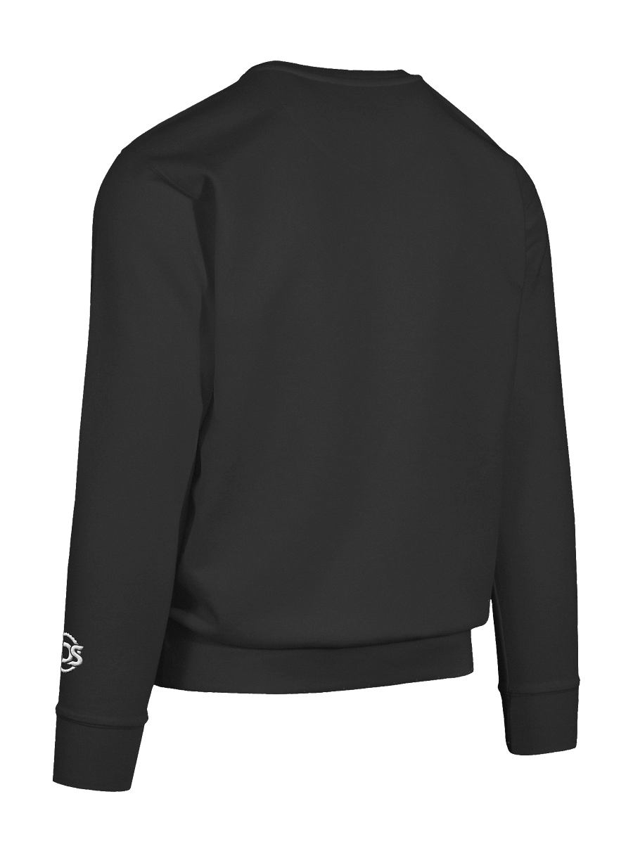 SIERRA LEONE-sds Premium Sweatshirt product image (92)