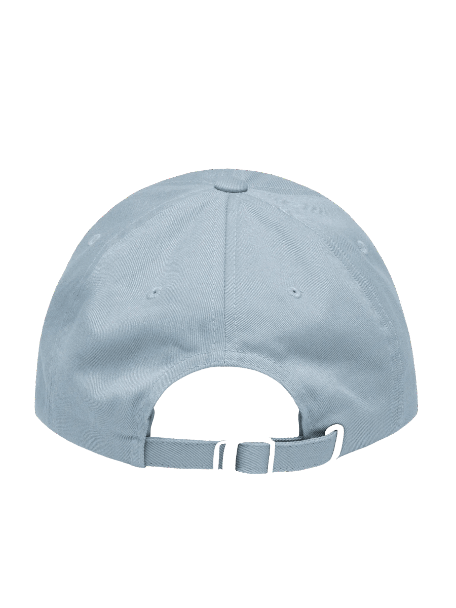 Dump Him - Hat product image (4)