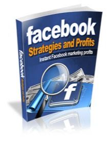 Facebook Strategies and Profits product image (1)