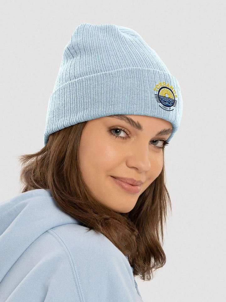 TUSD/CSEA Sun & Waves Beanie product image (29)