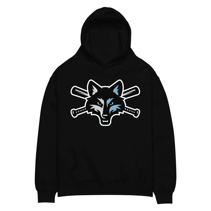 Dylan 4 Edition Adult Hoodie product image (6)