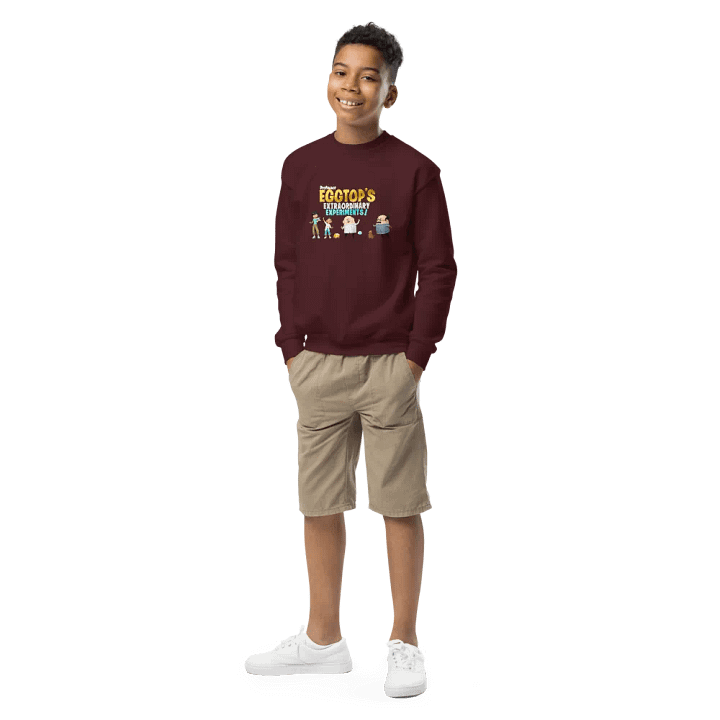 Professor Eggtop's Extraordinary Youth Sweatshirt product image (2)