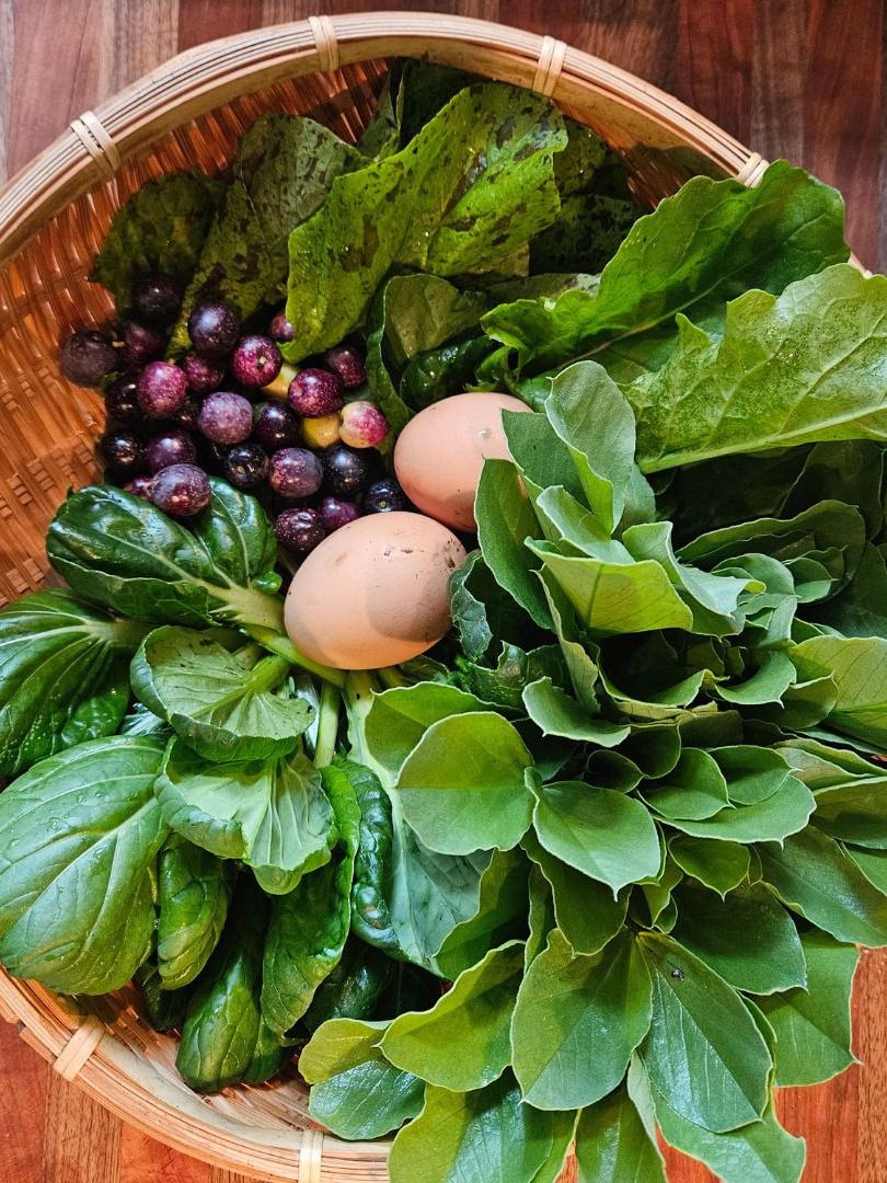 Out of the Garden Shed - Adaptive Home Gardening for Food & Joy product image (3)