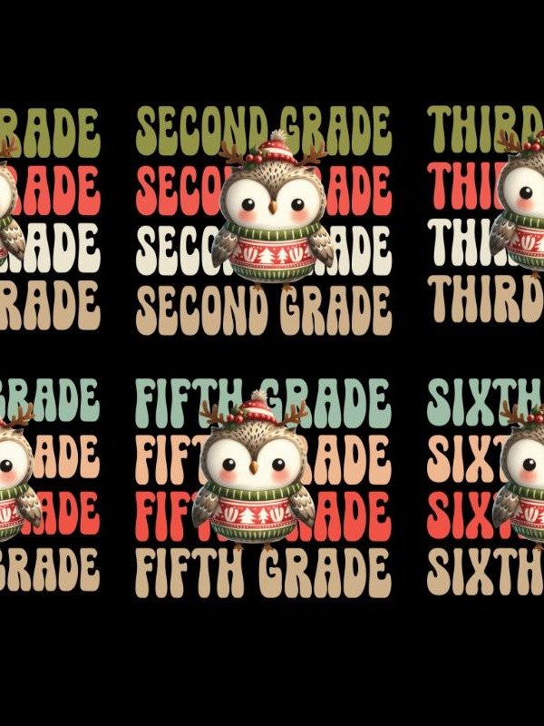 Christmas Owl Teacher sublimation bundle product image (2)