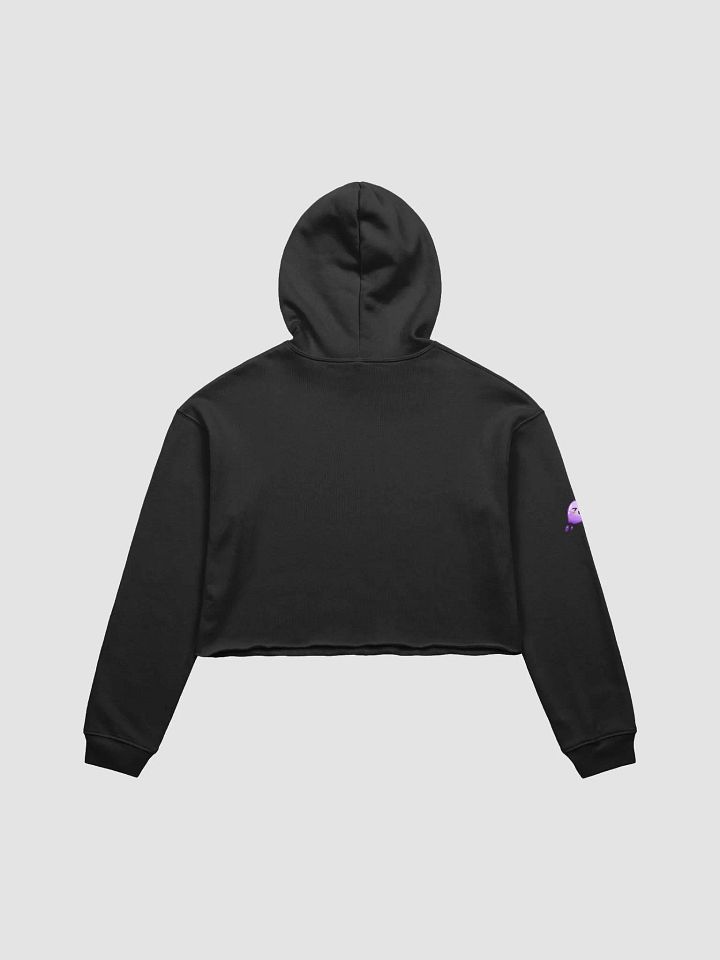 Ama Crop Hoodie product image (2)