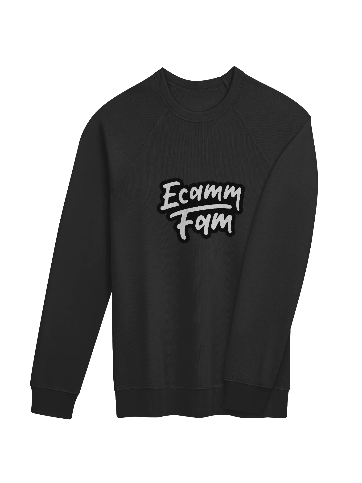 Ecamm Fam Raglan Sweatshirt product image (19)