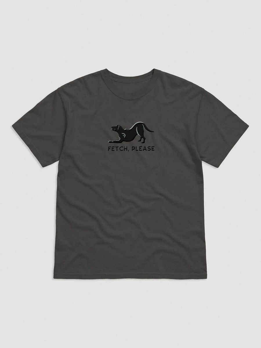 Fetch Please T-Shirt(Embroidered) of a Labrador Retriever(Black) product image (49)