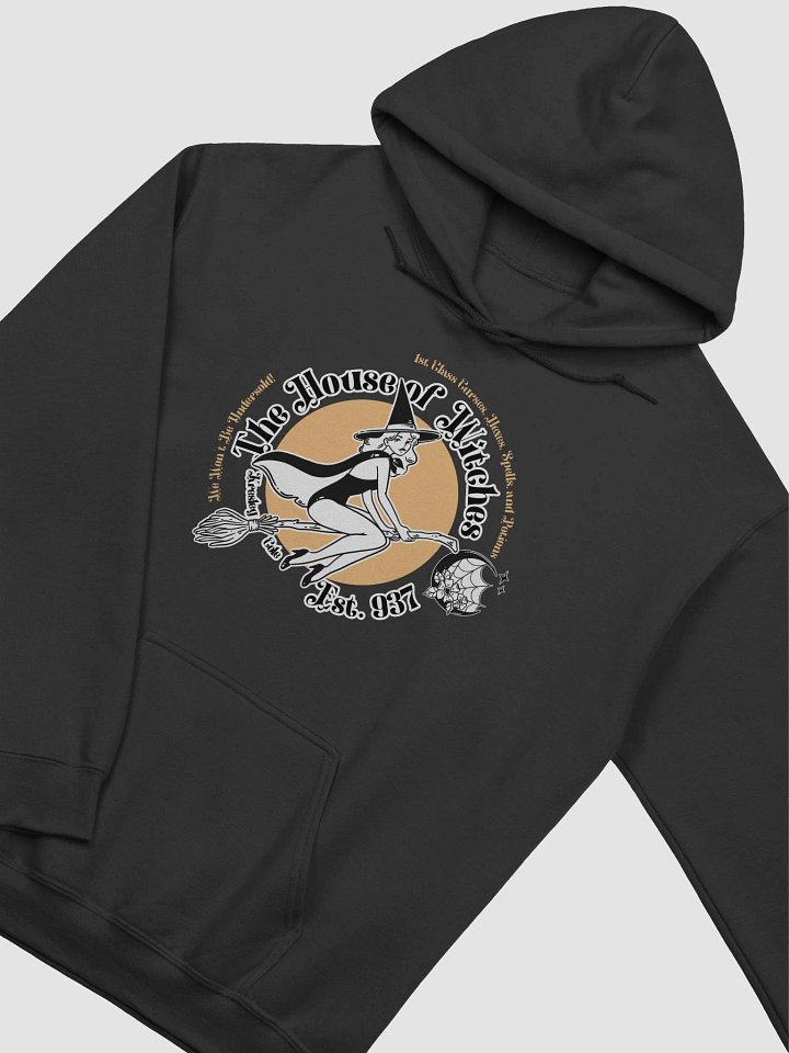 House of Witches Classic Hoodie product image (14)