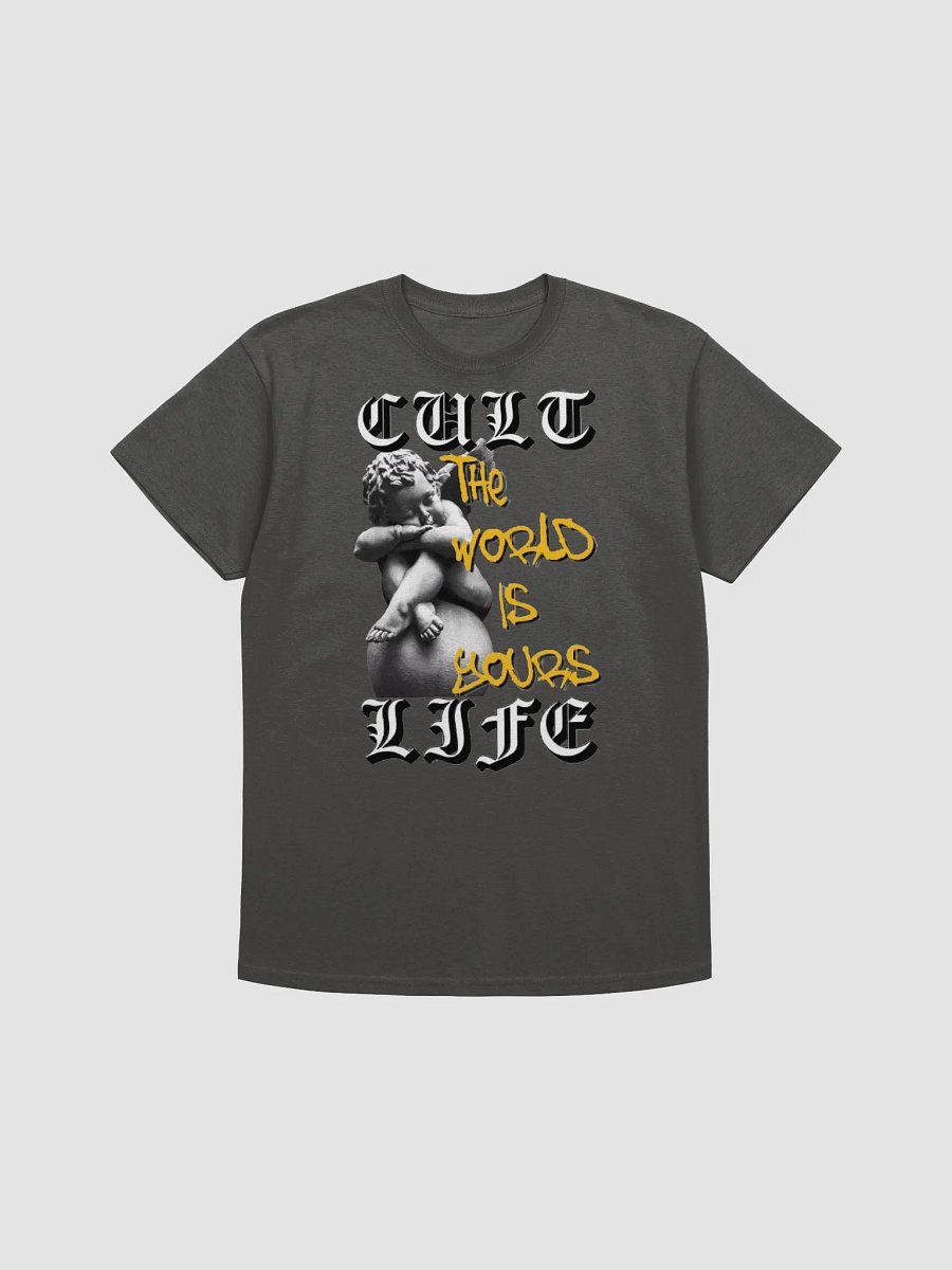 THE WORLD IS YOURS product image (1)