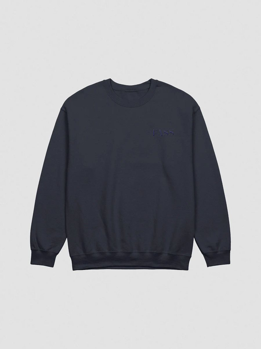 #FASS - Navy Sweatshirt product image (1)