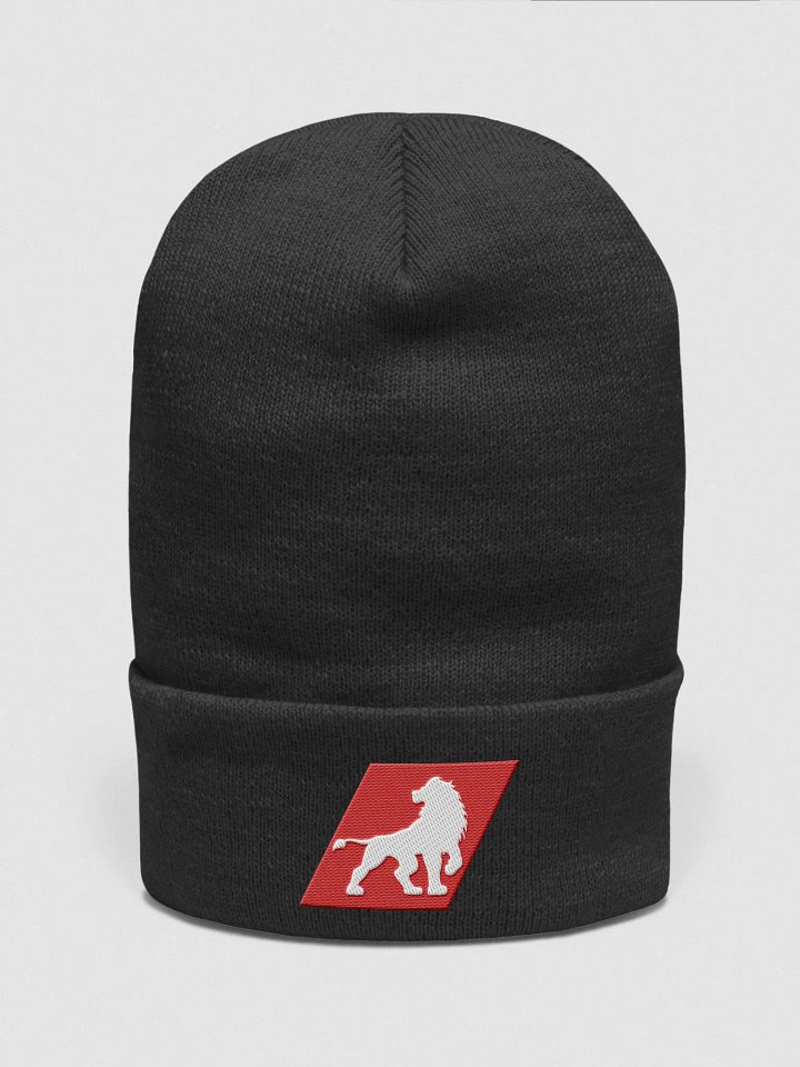 Warrior Tier Logo Beanie product image (3)