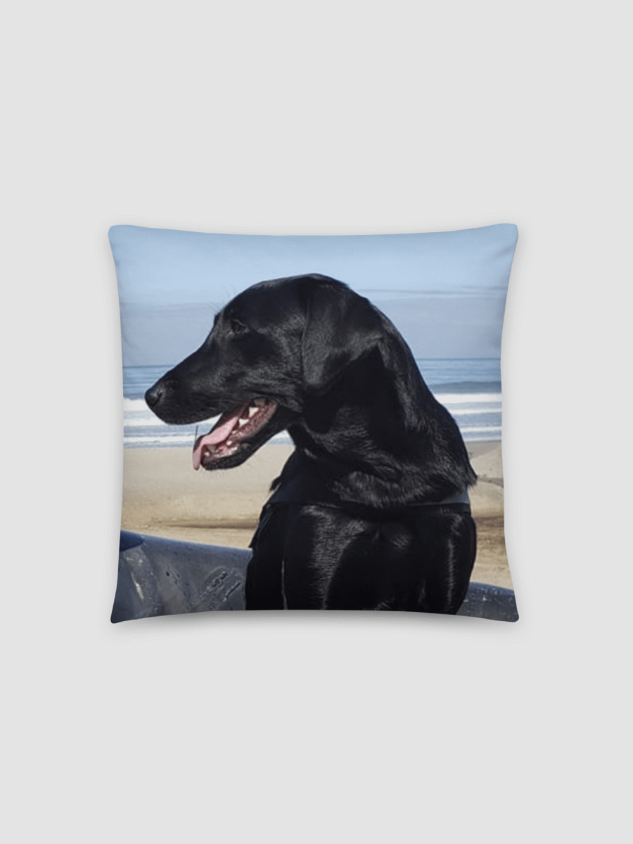 Saga Waifu Pillow product image (2)