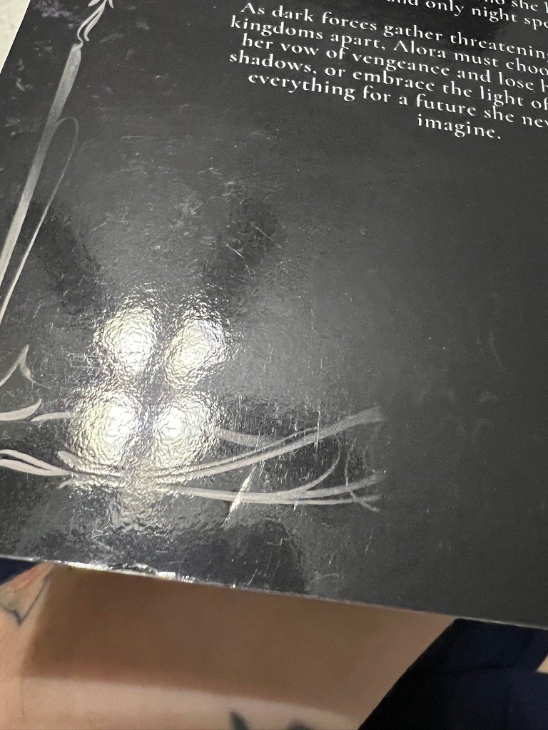 Daughter of Shadows and Ash - Dent & Damaged product image (3)