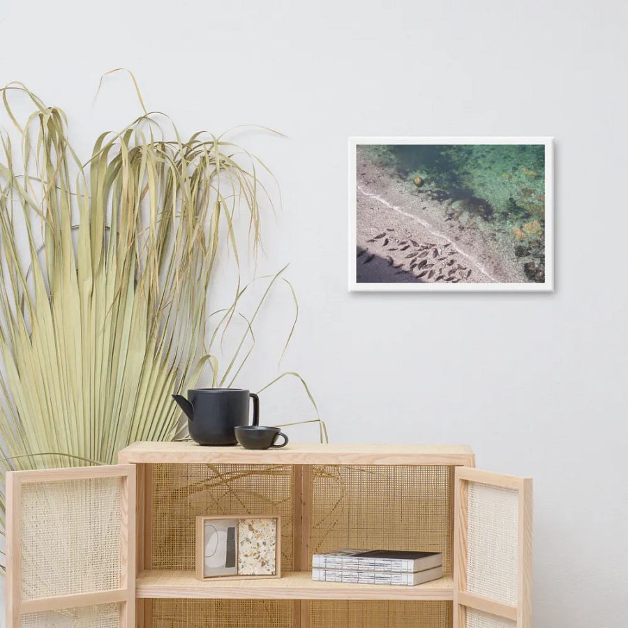 Seals on a hidden beach product image (9)