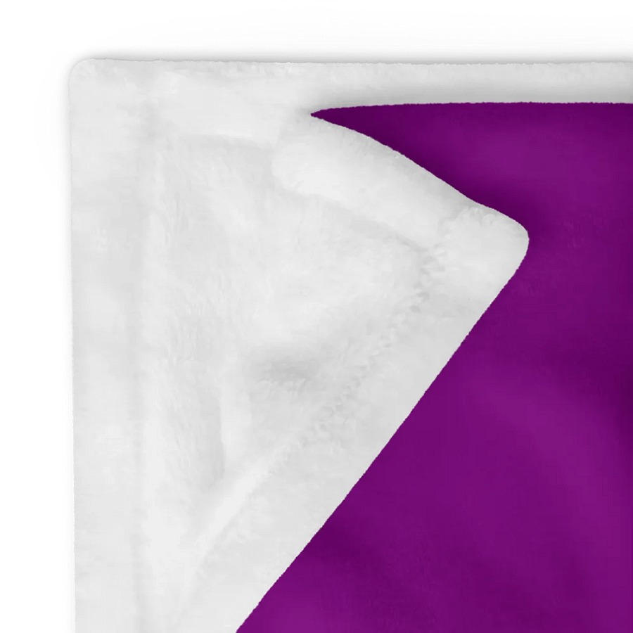Asexual Pride Fox Blanket (2023) product image (10)