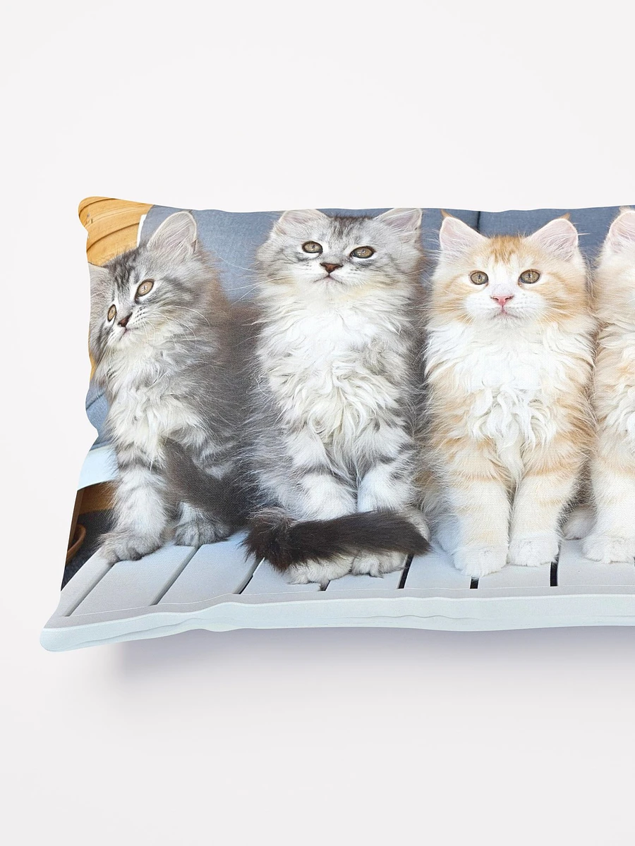 Maine Coon Kittens Pillow product image (3)