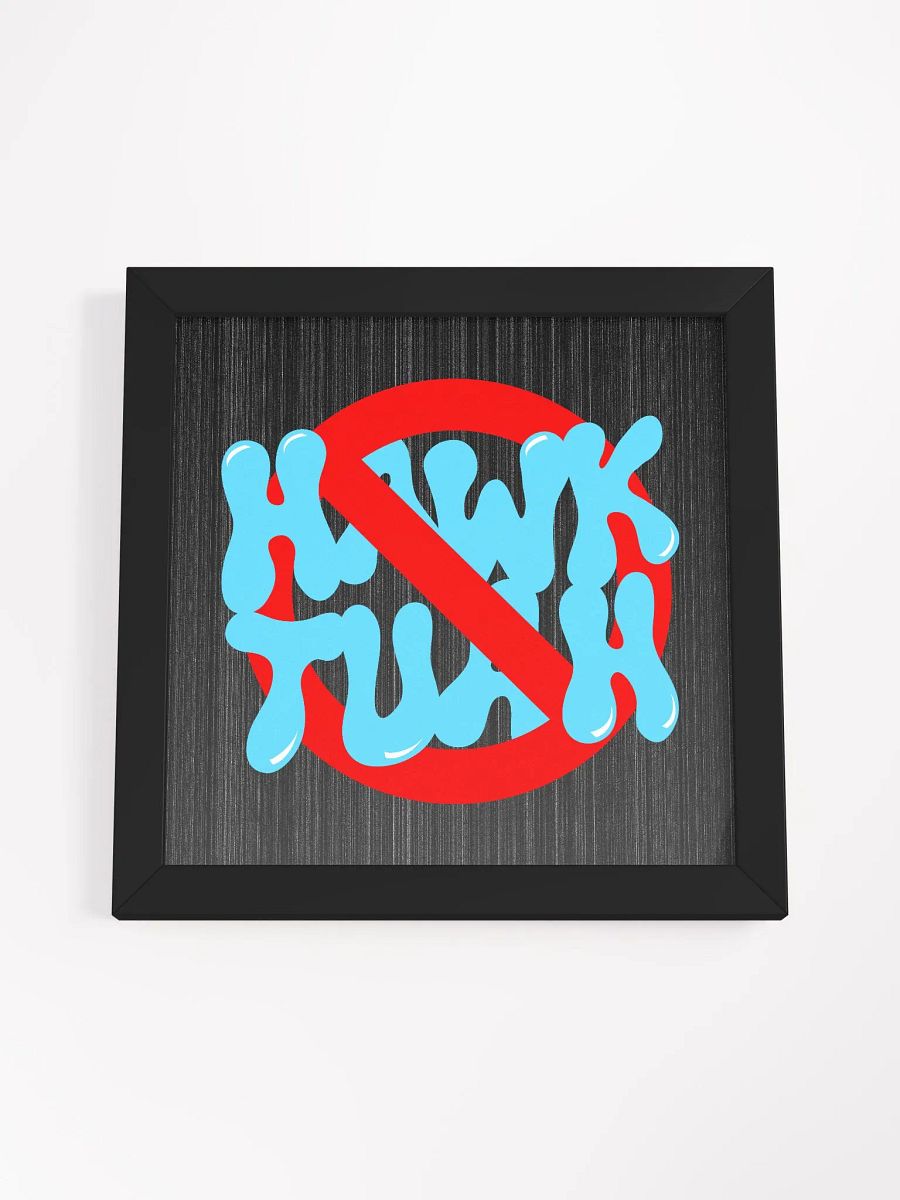 No Hawk Tuah Framed Matte Poster product image (56)