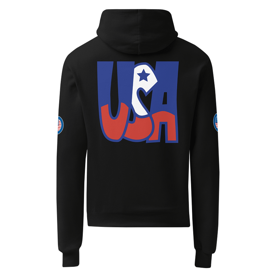 Stars and Stripes Champion Hoodie product image (2)