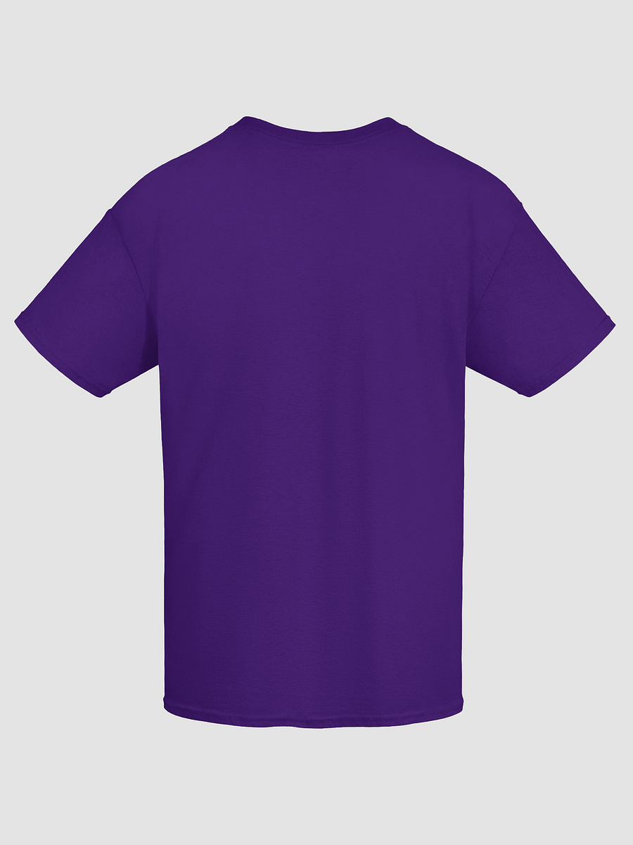 Spa Day Vibes Graphic T-Shirt product image (86)