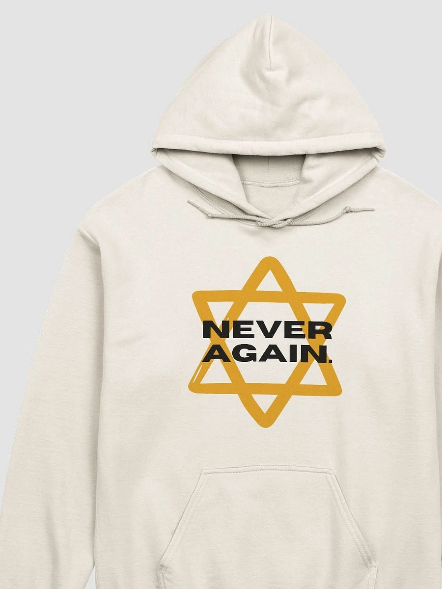 Never Again Hoodie product image (1)