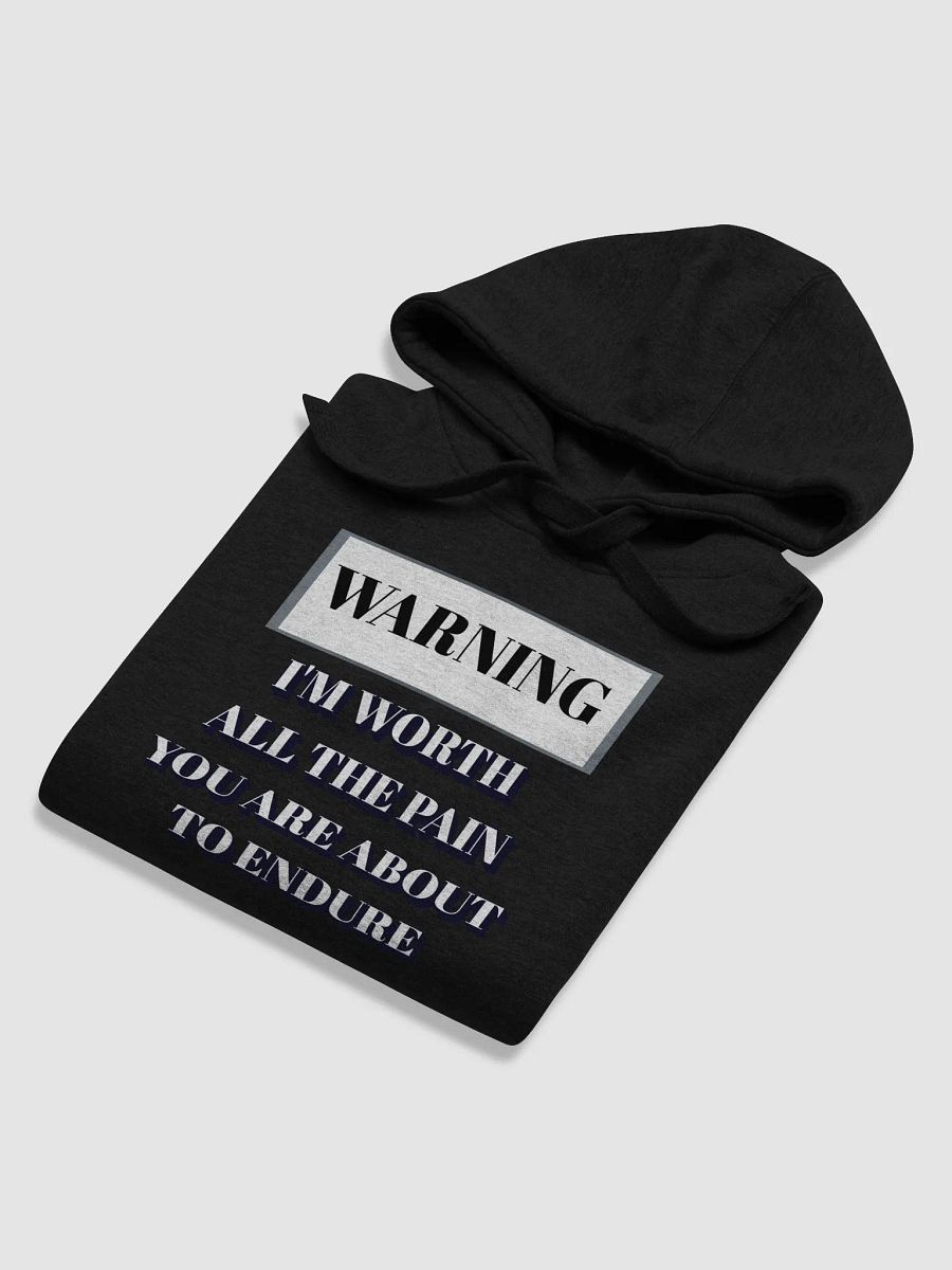 I'm Worth All The Pain You Are About To Endure Hoodie product image (34)