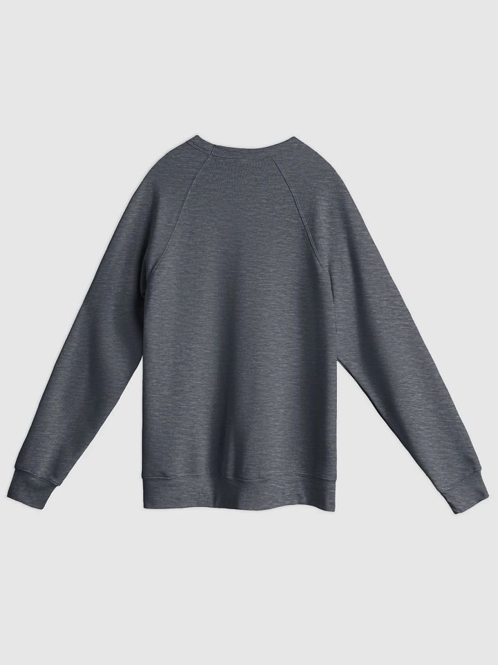 Not All Classrooms Have Four Walls Sponge Fleece Pullover product image (26)