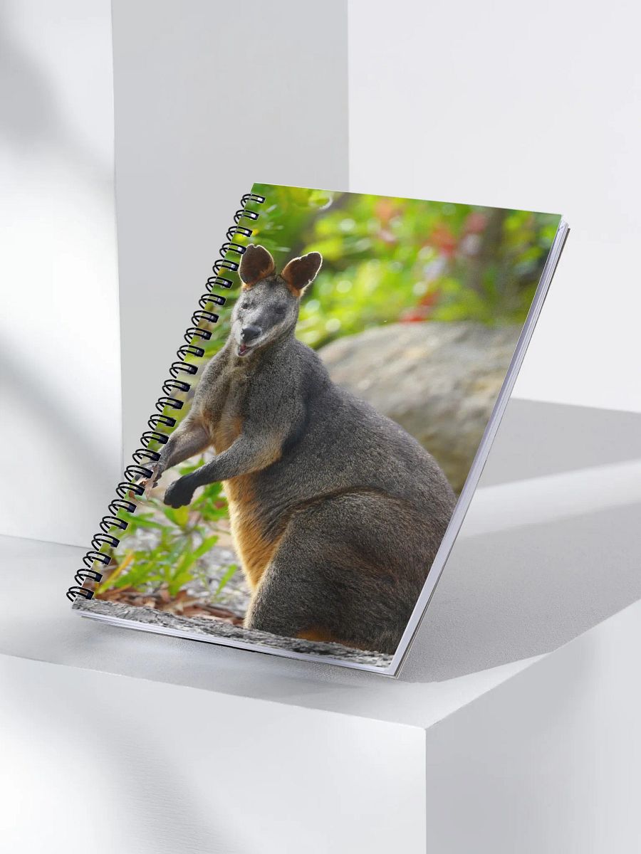 Kangaroo Book product image (3)