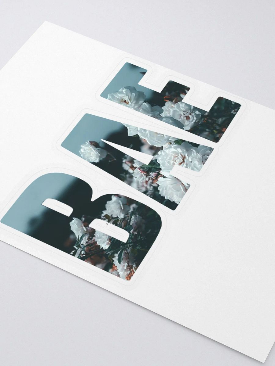 BAE Logo COLD SUMMER COLLECTION product image (3)