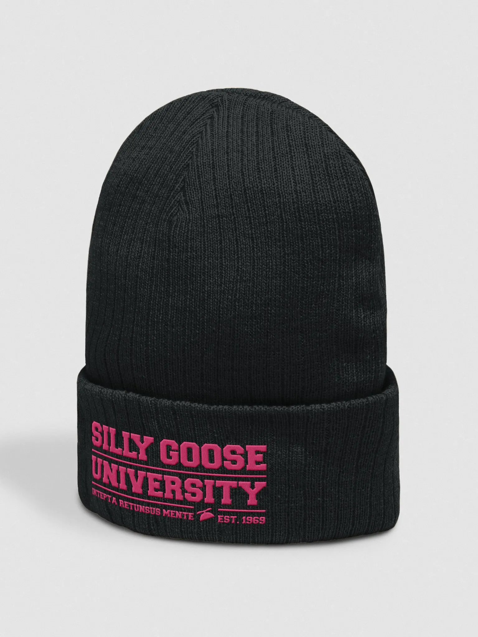 Silly Goose University Touque product image (3)