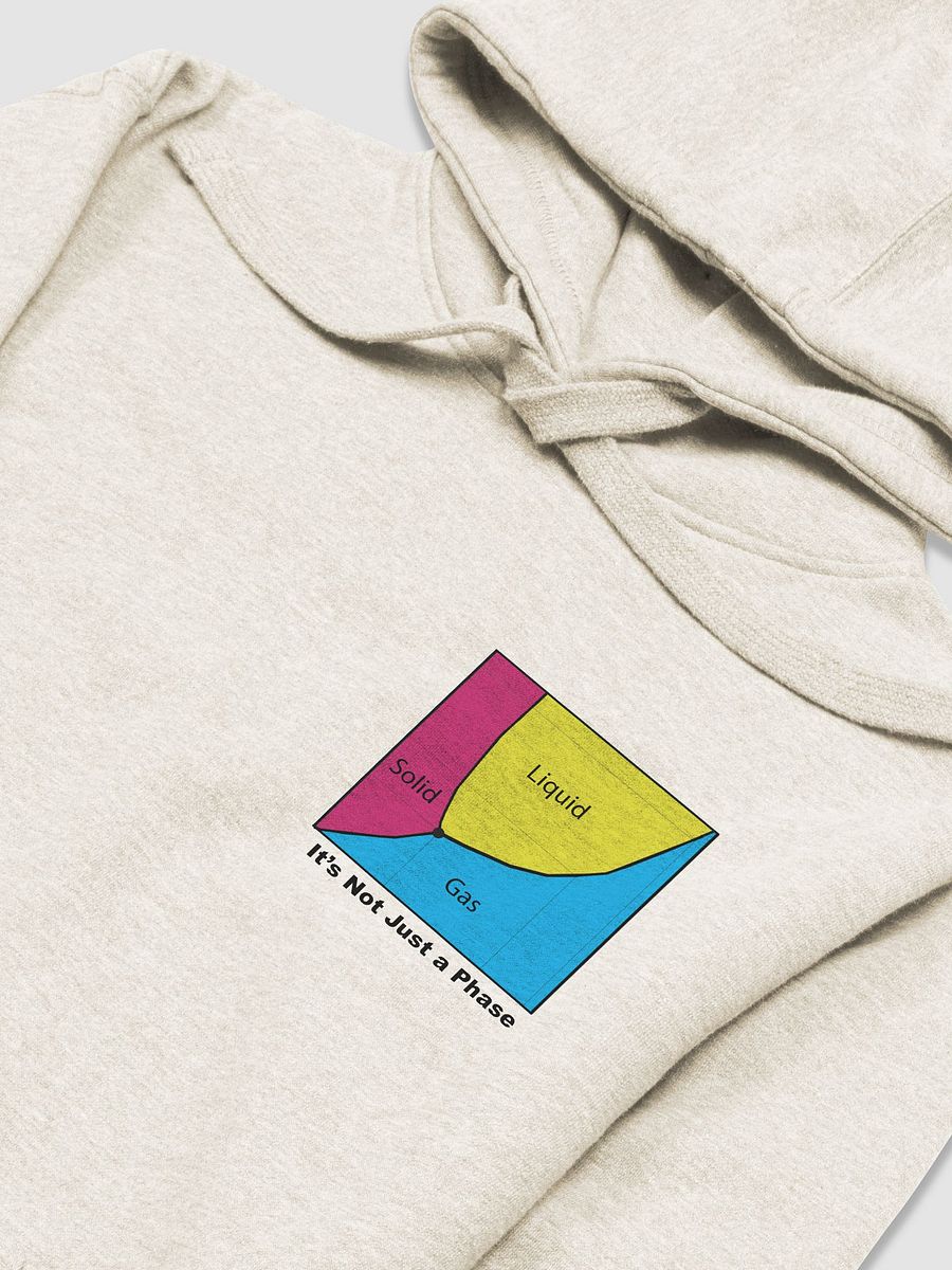 It's Not Just a Phase- Pan Sweatshirt product image (11)