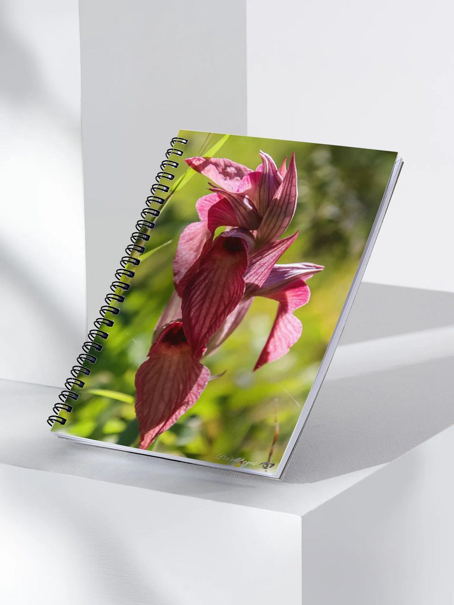 📓 Notebook Collection PURE – Orchidée sauvage – Jardin du Rayol product image (3)