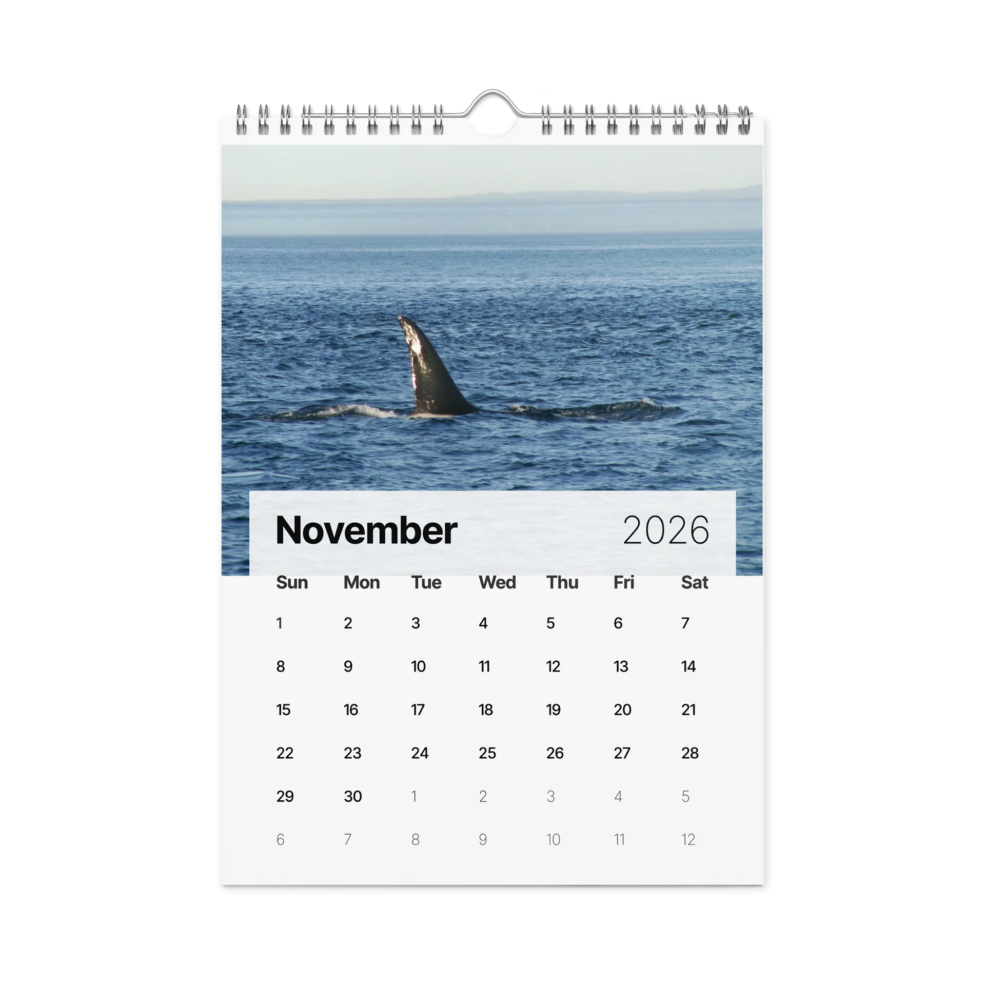 CRAVONE - 2026 Orca Calendar product image (11)