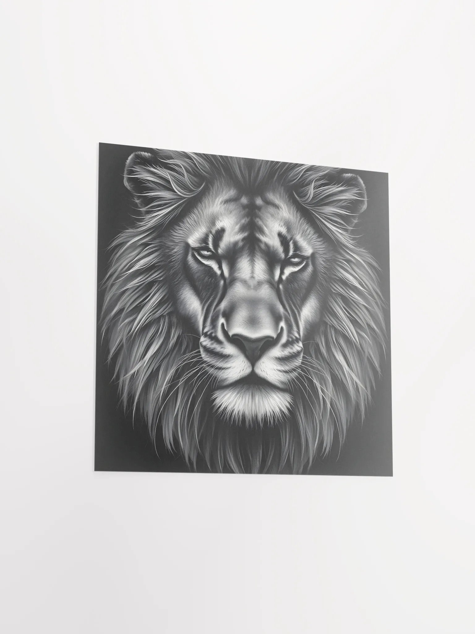 Lion product image (13)