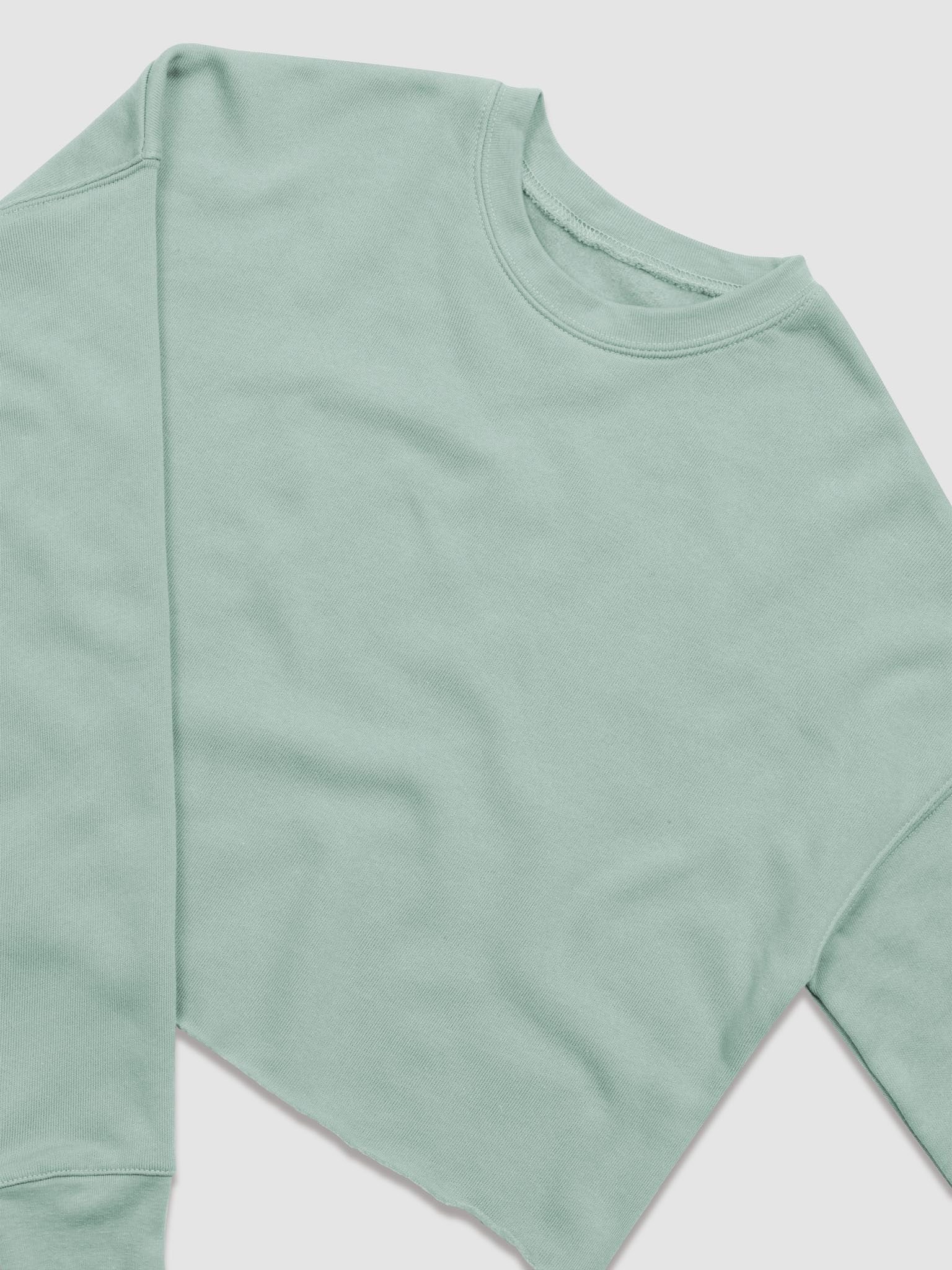 Eagle Women's Fleece Crop Sweatshirt - Stylish with Bold Design product image (5)