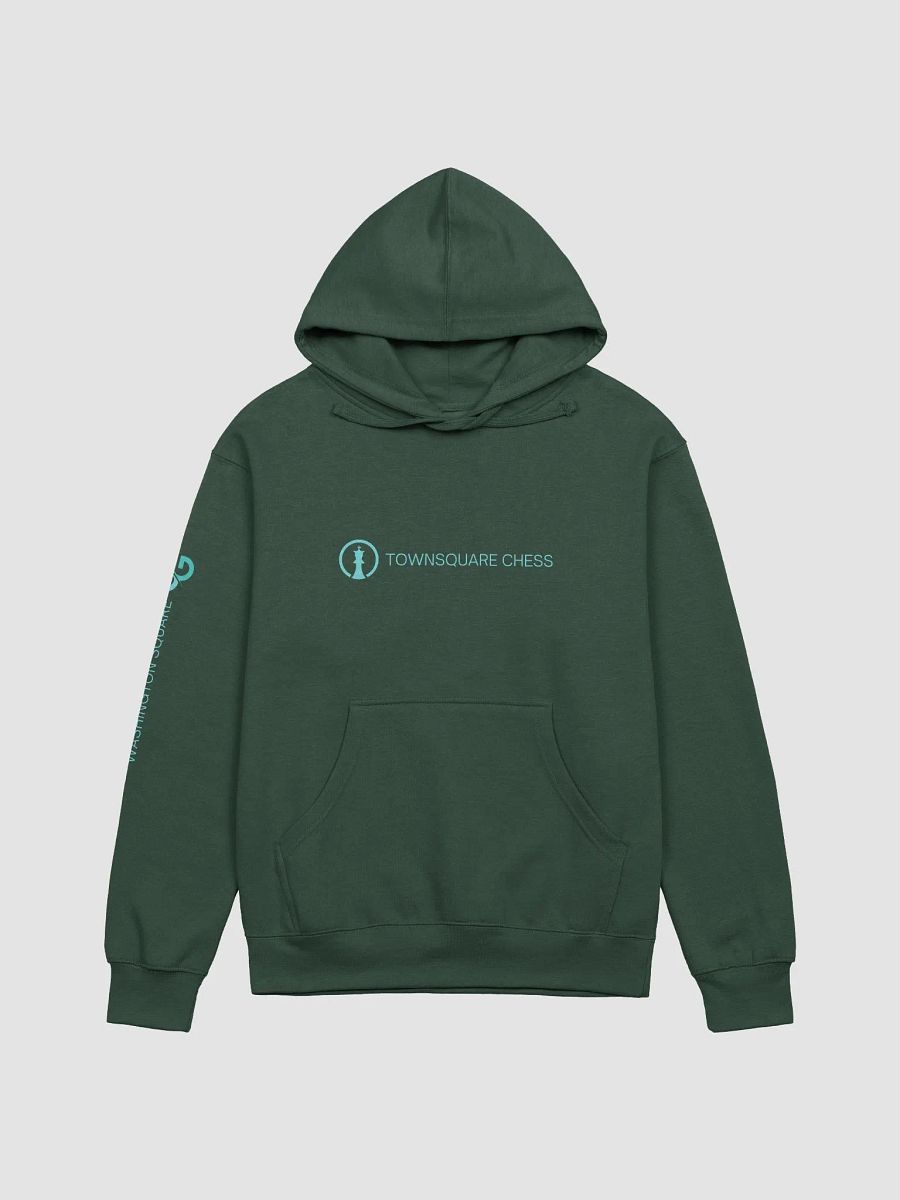 TownSquare Hoodie (Dark) | Wash Square Limited Edition product image (3)