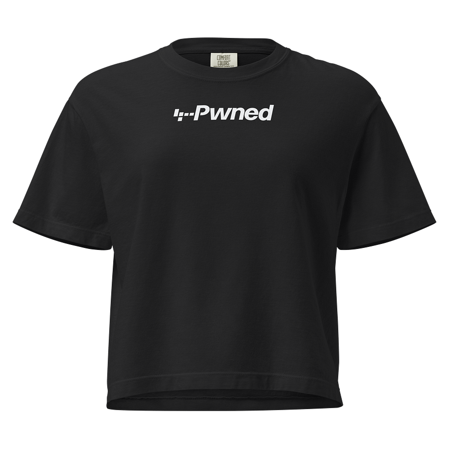 Just Another Pwned Tee product image (1)