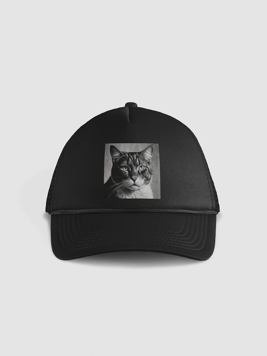 Cat product image (1)