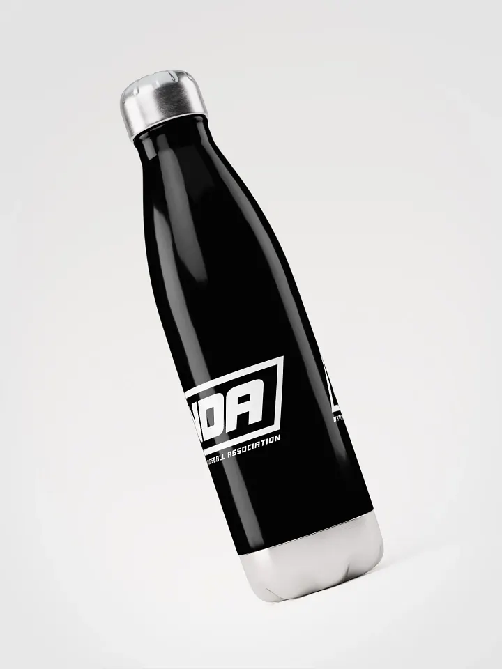 National Dodgeball Association Stainless Steel Water Bottle product image (1)