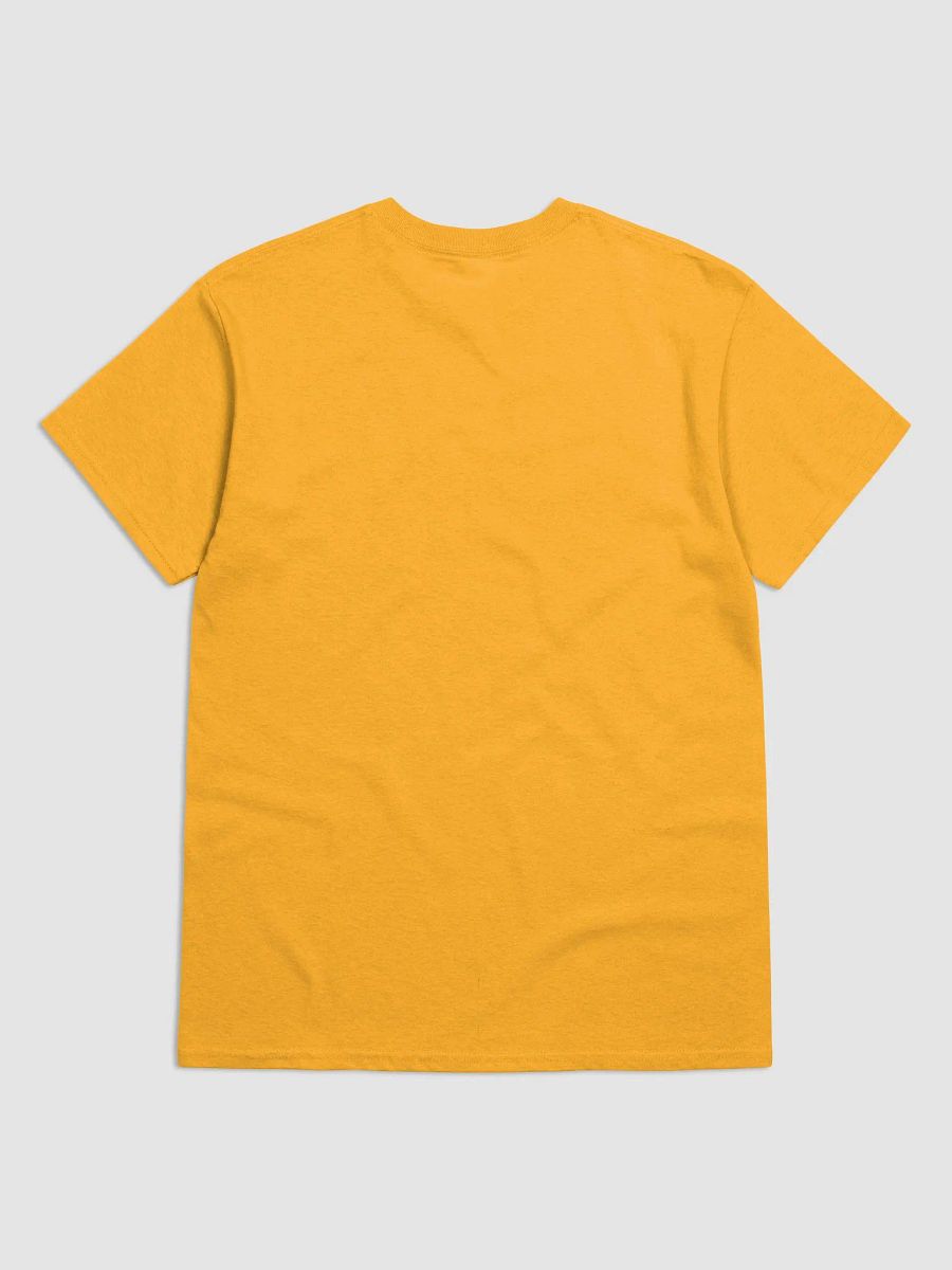 Donegal/Dún na nGall Scholastic style ogham gold printed T-shirt product image (2)