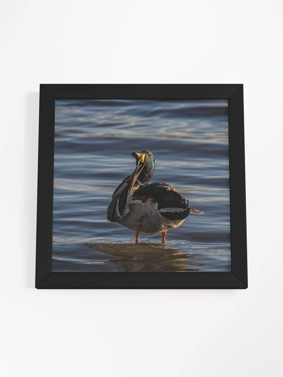 Ducking Fabulous product image (4)